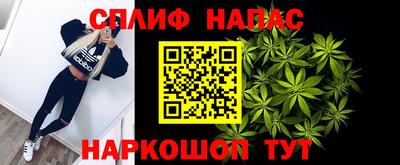 стафф Заводоуковск