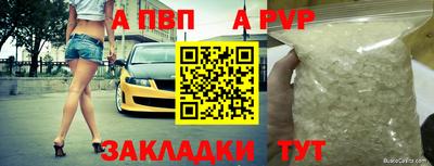 стафф Заводоуковск
