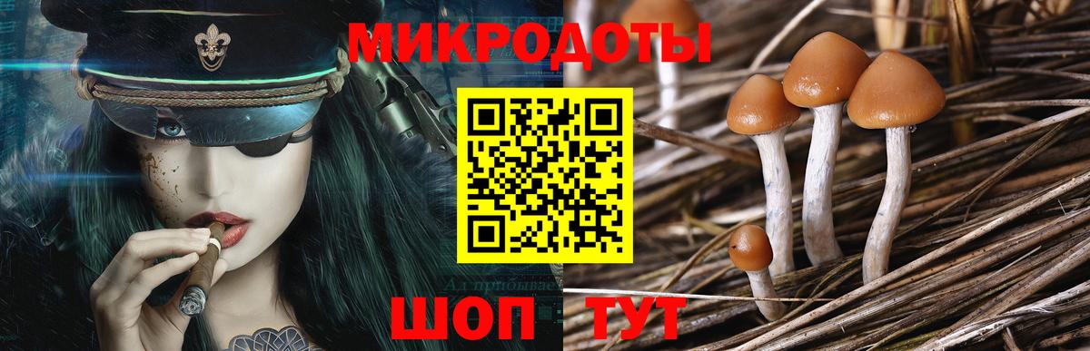Галлюциногенные грибы Magic Shrooms  Галлюциногенные грибы мухоморы  Муравленко  Вход с VPN 